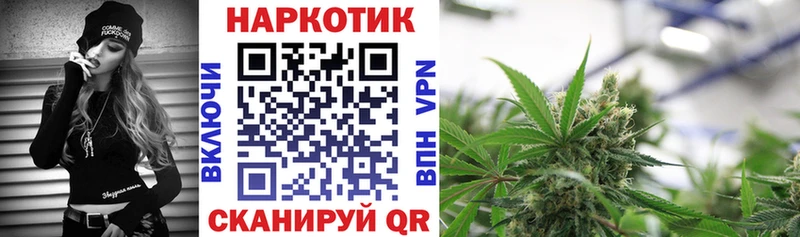 Как найти наркотики Андреаполь Кокаин  Конопля  Псилоцибиновые грибы  Гашиш  Меф мяу мяу 