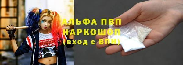 сатива Алзамай