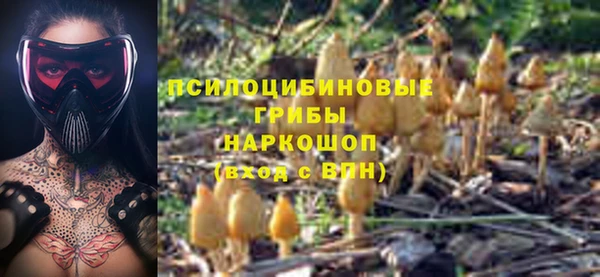 сатива Алзамай