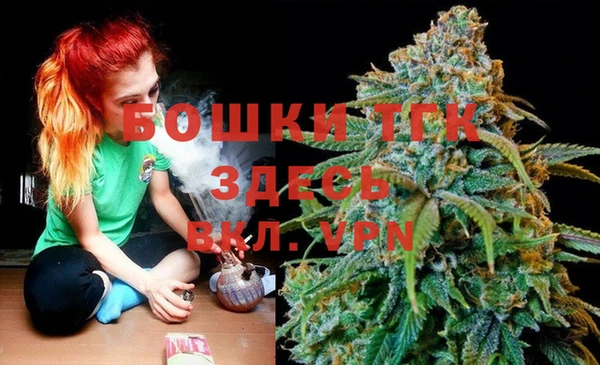 шишки Алексеевка