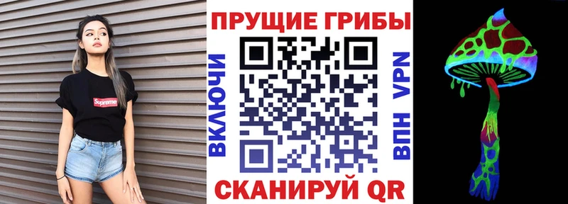 где купить наркоту  Андреаполь  Галлюциногенные грибы MAGIC MUSHROOMS 