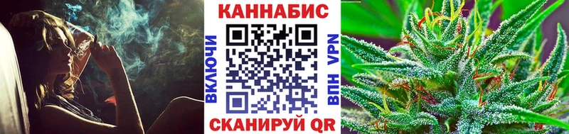 Бошки марихуана сатива  закладки  Андреаполь 